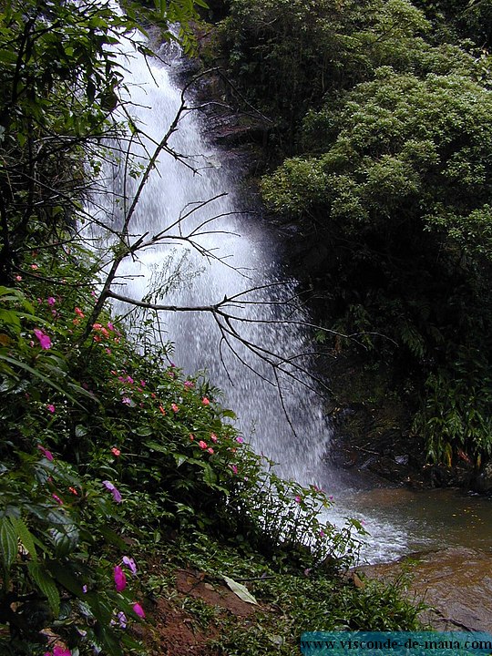 waterfall_maua.jpg Cachoeiras em Visconde de  Mauá
